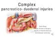 Pancreatic and duodenal injuries - UP 2017… · • Trauma surgeons and pancreatic / hepato-biliary surgeons / endoscopic options • Interventional radiologists and Intensivists