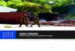 HUMAN HIGH STAKES HIGH STAKES Political Violence and the 2013 Elections in Kenya HUMAN RIGHTS WATCH