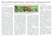 Royal Bengal tiger genome sequenced - Sosin Classes€¦ · nome of the Royal Bengal tiger, an endangered big cat, has been sequenced as part of plans to gener-ate a high-quality