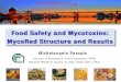 Food Safety and Mycotoxins: MycoRed Structure and Results€¦ · Food Safety and Mycotoxins: MycoRed Structure and Results Michelangelo Pascale . Institute of Sciences of Food Production