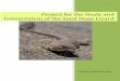 Project for the Study and Conservation of the Sand Dune ... Detailed Final Report.pdf · Kacoliris, F. P. 2008. Project for the Study and Conservation of the Sand Dune Lizard (PECLAD)