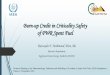 Burn-up credit in criticality safety of PWR spent fuel · Burn-up Credit in Criticality Safety of PWR Spent Fuel Rowayda F. Mahmoud Abou Alo Reactors Department, Egyptian Atomic Energy