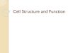 Cell Structure and Function - Scott County Schools...Cell Structure and Function Structure Function • Vacuole •Saclike structures that store amino acids, sugars, metabolic and