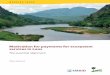 Motivation for payments for ecosystem services in Laos · Motivation for payments for ecosystem services in Laos 3 closed in 2008. Commercial electricity generation commenced two