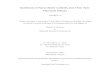 Synthesis of Nano-Silver Colloids and Their Anti-Microbial ... · Synthesis of Nano-Silver Colloids and Their Anti-Microbial Effects Guangyin Lei Thesis submitted to the faculty of