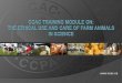 Farm Animal Use in Science - CCAC€¦ · This training module is relevant to all farm animal users, ... of hoof damage and lameness ... dairy and beef cattle Improvements which,