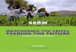 Philippine Food Justice Report - Oxfam in Philippines · 2008, for example, the value of Philippine imports from ASEAN countries stood at USD14.3 bn, while Philippine exports registered