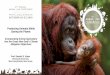 Protecting Animals While - Home - Animal Law Conference · 2019-11-15 · Protecting Animals While Saving the Planet: Incorporating Animal Agriculture ... Ringling Bros. Circus and