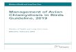 Management of Avian Chlamydiosis in Birds Guideline, 2019health.gov.on.ca/en/pro/programs/publichealth/oph... · 2019-04-08 · Management of Avian Chlamydiosis in Birds Guideline,
