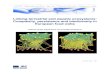 Linking terrestrial and aquatic ecosystems: Complexity ...publications.jrc.ec.europa.eu/repository/.../eur_eu_ecosystems_final.… · understand how food webs are structured and how