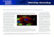 Winship Roundup - Winship Cancer Institute€¦ · more information about ALCHEMIST, visit . Winship Roundup August 27, 2014 | vol. 3 issue 13 New NCI Trials Open at Winship with