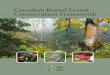 Canadian Boreal Forest Conservation Fr ... Vision ffe Boreal Forest Conservation Framework (the Framework)