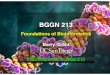 BGGN 213 - GitHub PagesPractical applications include... • Similarity searching of databases –Protein structure prediction, annotation, etc... • Assembly of sequence reads into