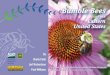 Bumble Bees - Xerces SocietyBumble Bees of the Eastern United States 3 Table of Contents 3 Table of Contents 4 Foreword 5 About the Authors 6 Introduction 10 Bee Diagrams 13 Map Methodology