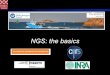 NGS: the basics · Next generation sequencing Massively parallel sequencing ... Immobilized PCR on solid support. Flow cell or beads (emPCR) 2. Single molecule sequencing. ... Semiconductor