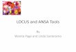 Locus and ANSA Tools - Maine · •Completed by a Mental Health Professional (see MaineCare Benefits manual, Chapter II, Section 17.09), Community Integration/ACT Worker or MHRT-C