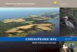 Chesapeake Bay 2007 Health & Restoration Assessment– a place of transition between the land and the sea, where incoming fresh water mixes with salty ocean water. The Chesapeake Bay