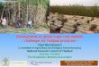 Developments on global sugar cane markets -- challenges for Thailand producers-- · 2015-11-18 · Developments on global sugar cane markets -- challenges for Thailand producers--Pipat