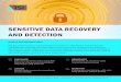 SENSITIVE DATA RECOVERY AND DETECTION - RSI Security · 2020-02-19 · SENSITIVE DATA RECOVERY AND DETECTION Protect Your Sensitive Data RSI Security provides a comprehensive solution