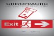 CHIROPRACTICback, neck and neuro-musculoskeletal pain, the chiropractic profession is aligned with these important initiatives and committed to actively participate in solving the