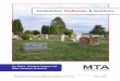 Cemeteries: Challenges & Solutions...MTA Guide to Cemeteries: Challenges & Solutions / June 2007 Page 2 of 22 Introduction The Cemetery or Burial Grounds Act, Public Act 215 of 1937,