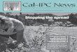 Cal-IPC News · 2017-10-17 · Cal-IPC News. Vol. 24, No. 1 Spring 2016 Newsletter of the California Invasive Plant Council. Tall whitetop (Lepidium latifolium): The weed that tried