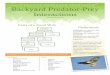 NATURALIST OUTREACH PRACTICUM Backyard Predator-Prey Interactions · 2014-07-04 · 3 ENTOM3350: NATURALIST OUTREACH SPRING 2012 Mammal Skulls: Predator or Prey? Eyes in front, likes