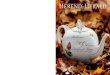 180 yeArs - Herend Porcelain Manufactory...2015/07/10  · magazine of the herend porcelain manufactory 2006/ii. no. 27. Herend H erald 2006/II. n o. 27. HUF 900 Children Glory Gift