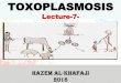 TOXOPLASMOSIS - Product Key Free€¦ · TOXOPLASMOSIS It is a disease caused by Toxoplasma gondii which is a protozoan parasite that is infects a variety of mammals and birds throughout