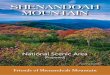 SHENANDOAH MOUNTAIN...The 90,000-acre tract between Rt. 250 and Rt. 33 is one of the largest remaining expanses of undisturbed forestland in the Southern Appalachians and is a haven
