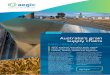 Australia’s grain supply chains · Grain quality As grain storage options and pathways to markets increase, the Australian industry needs to consider how to best ensure stewardship
