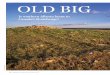 Feature OLD BIG Old Bigappropriate-entertainment.com/files/Download/Old_Big.pdf · 2016-12-16 · Feature OLD BIG 44 ALBERTA VIEWS JULY/AUGUST 2012 the ground. At the top of a butte,