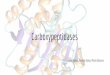 Carboxypeptidasessbi.imim.es/.../students/2018/BE8.1_Carboxypeptidases.pdf · 2019-01-14 · M14B Carboxypeptidases CPE CPD CPN CPZ CPM Neuroendocrine enzyme implicated in the biosynthesis