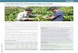 Crop Nutrition for Vietnamese Robusta Coffee · 2019-03-22 · Crop Nutrition for Vietnamese Robusta Coffee By Tassilo Tiemann, Tin Maung Aye, Nguyen Duc Dung, Tran Minh Tien, Myles