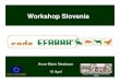 EFFAB Code workshopSlovenia [Compatibiliteitsmodus] · Sustainability in farm animal breeding and reproduction “The extent to which animal breeding and reproduction, as managed