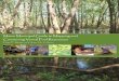 Maine Municipal Guide to Mapping and Conserving Vernal Pool Resources · Maine Municipal Guide to Mapping and Conserving Vernal Pool Resources Dawn E. Morgan University of Maine Department