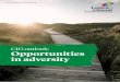 Investment Management - Opportunities in adversity · 2019-09-16 · At the same time, we constantly examine the macroeconomic and market environment in order to establish more immediate