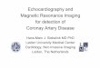 Echocardiography and Magnetic Resonance Imaging for ...assets.escardio.org/assets/presentations/ehh2010/... · Echocardiography and Magnetic Resonance Imaging for detection of Coronay