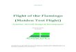 Flight of the Flamingo (Maiden Test Flight)airlinepilotguy.com/.../2015/01/Flight-of-the-Flamingo.pdfFlight of the Flamingo (Maiden Test Flight) Aviation: Aircraft Design & Development