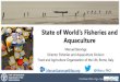 State of World’s Fisheries and Aquaculture · Director Fisheries and Aquaculture Division Food and Agriculture Organization of the UN, Rome, Italy Manuel.barange@fao.org @Manu_FAO