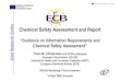 Chemical Safety Assessment and Reportchemical-net.env.go.jp/pdf/REACHworkshop_6eng.pdf · Chemical Safety Assessment and Report “Guidance on Information Requirements and Chemical