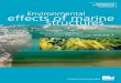Environmental effects of marine structures · A Victorian Government project Environmental effects of marine structures Victorian Desalination Project Environment Effects Statement