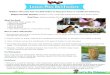 Lesson Plan: Bird Feeders - Let's Go Chipper · 2015-03-05 · Lesson Plan: Bird Feeders Children will create their own bird feeders to hang up at home or outside the classroom. Chipper