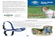 Other training solution products from PetSafe Dogs AND ... · your dog from pulling and help achieve a loose leash walk – if your dog pulls excessively, even while wearing the harness,