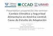 Presentation prepared for the seminar: Cambio Climático y ... · cambio climático en los proyectos de conservación y desarrollo IISD, UICN, SEI e Intercooperation, 2009; IISD,