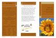 Bee Brochure - Finalbee hives declined by over half from 365 Bermuda’s Native Bee Bermuda’s native solitary bee is one of our original pollinators. Similar species that carry out