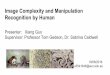 Image Complexity and Manipulation Recognition by Human ... · The images are separated according to the image contents into 9 categories, which are animal, architecture, article,