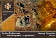 Northern Star Resources Company Presentation An ......Northern Star Resources Company Presentation An Australian gold miner – for global investors February 2015 Disclaimer 2 Competent