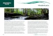SECTION FIVE Habitats - University of Maine Systemmuskie.usm.maine.edu/cascobay/pdfs/sotb2010section5.pdf · Maine has been a largely forested state with abundant rivers, lakes and