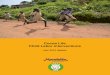 Cocoa Life Child Labor interventions/media/cocoalife/news articles pdf/cocoa... · a human rights consulting agency, to assess the situation of child labor in Côte ... Aidan McQuade